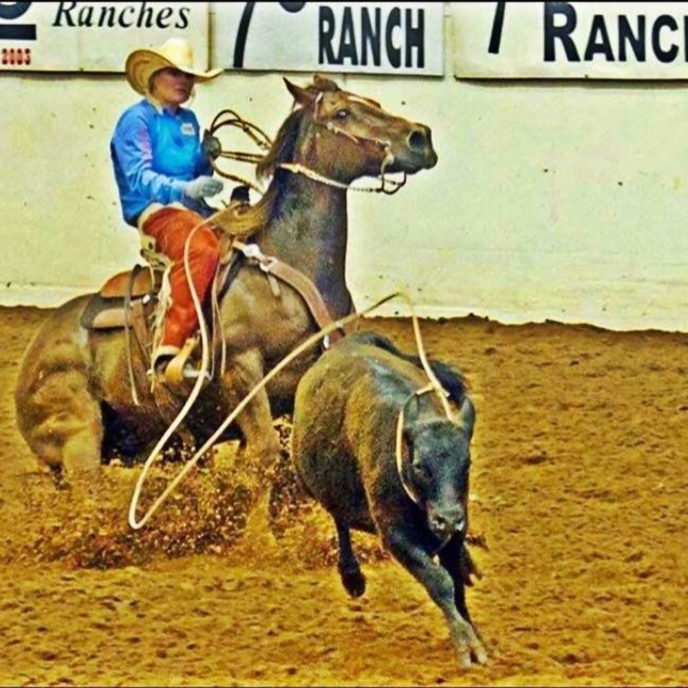 Meet your Posher, Kelsey